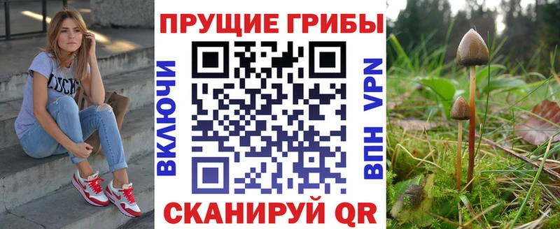 Псилоцибиновые грибы прущие грибы  Шелехов 